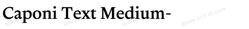 Caponi Text Medium字体转换